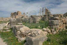 Volubilis 이미지 (140466134) - 게티이미지뱅크 Volubilis