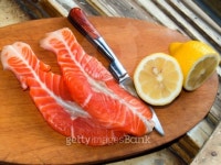 The trout 이미지 (96825802) - 게티이미지뱅크 The trout