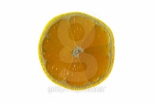 piece of lemon 이미지 (99178195) - 게티이미지뱅크 piece of lemon