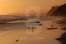 Summer Solitude 이미지 (93138580) - 게티이미지뱅크 Summer Solitude