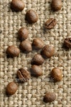 Coffee on a flax canvas 이미지 (89501009) - 게티이미지뱅크 Coffee on a flax canvas