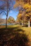 Autumn in a park 이미지 (172341709) - 게티이미지뱅크 Autumn in a park