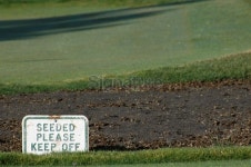 Seeded: Please Keep Off 이미지 (172353473) - 게티이미지뱅크 Seeded: Please Keep Off