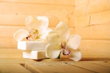 wellness II 이미지 (144284698) - 게티이미지뱅크 wellness II