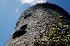 climbing plant goes up on the tower 이미지 (91250448) - 게티이미지뱅크 climbing plant goes up on the tower