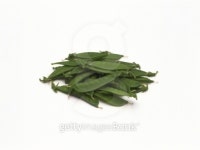 Stacked of green beans  이미지 (79305416) - 게티이미지뱅크 Stacked of green beans 