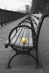 Brooklyn Heights Promenade and Bridge 이미지 (172125956) - 게티이미지뱅크 Brooklyn Heights Promenade and Bridge
