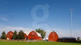 Farm with a cell tower. 이미지 (92048987) - 게티이미지뱅크 Farm with a cell tower.