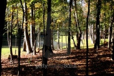 Fall Scene 이미지 (91430045) - 게티이미지뱅크 Fall Scene
