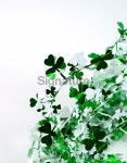 Luck o the Irish 이미지 (172288743) - 게티이미지뱅크 Luck o the Irish