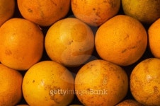 Oranges pattern 이미지 (128958723) - 게티이미지뱅크 Oranges pattern