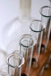 lab 이미지 (115949839) - 게티이미지뱅크 lab