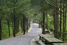 Park Setting 이미지 (91230024) - 게티이미지뱅크 Park Setting