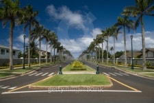 Palm-lined street 이미지 (93860528) - 게티이미지뱅크 Palm-lined street