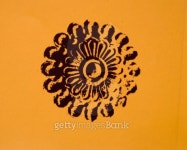 printed ornament 이미지 (99412455) - 게티이미지뱅크 printed ornament