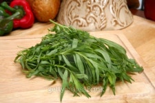 네이처후레쉬 타라티피에스 | Fresh Tarragon 이미지 (99500913) - 게티이미지뱅크 Fresh Tarragon