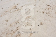 sand 이미지 (94683642) - 게티이미지뱅크 sand