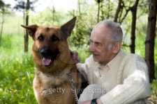 Dog charmer 이미지 (93061388) - 게티이미지뱅크 Dog charmer