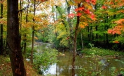 Fall In Ohio 이미지 (94553976) - 게티이미지뱅크 Fall In Ohio