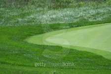 Glof green with rough and fringe 이미지 (99821858) - 게티이미지뱅크 Glof green with rough and fringe