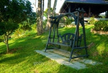 Tropical park 이미지 (94220132) - 게티이미지뱅크 Tropical park