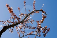 spring 이미지 (145198053) - 게티이미지뱅크 spring