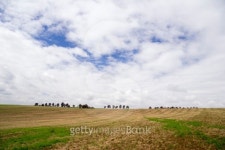 Clouds over Field 이미지 (147644427) - 게티이미지뱅크 Clouds over Field