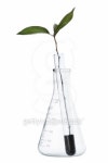 Bioengineering Crops Concept 이미지 (98025507) - 게티이미지뱅크 Bioengineering Crops Concept
