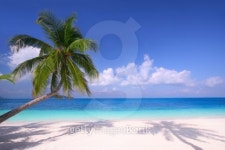 Island Paradise 이미지 (147008890) - 게티이미지뱅크 Island Paradise