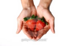 strawberry in hand 이미지 (145162116) - 게티이미지뱅크 strawberry in hand