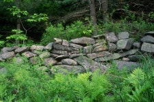 Stone Wall in Forest 이미지 (172917898) - 게티이미지뱅크 Stone Wall in Forest