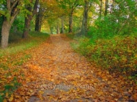 autumn park 이미지 (94351221) - 게티이미지뱅크 autumn park