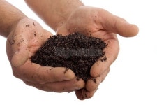 Soil 이미지 (172862128) - 게티이미지뱅크 Soil