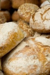 Fresh Bakery 이미지 (97623578) - 게티이미지뱅크 Fresh Bakery