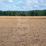 Harvested acre 이미지 (99380117) - 게티이미지뱅크 Harvested acre