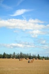 Big Sky Farm 이미지 (112083221) - 게티이미지뱅크 Big Sky Farm