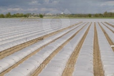 field in the Loire valley 이미지 (147689922) - 게티이미지뱅크 field in the Loire valley