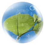Leaves in a ball 이미지 (99837185) - 게티이미지뱅크 Leaves in a ball