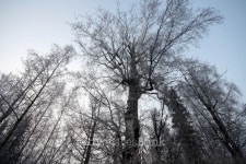 IMG_3998 이미지 (147068086) - 게티이미지뱅크 IMG_3998