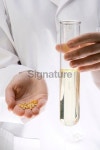 Biofuel Research 이미지 (172684888) - 게티이미지뱅크 Biofuel Research