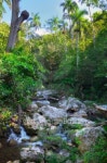 Cuban lanscape with rapids 이미지 (100094016) - 게티이미지뱅크 Cuban lanscape with rapids