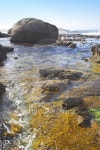 Coastal wilderness 이미지 (99720466) - 게티이미지뱅크 Coastal wilderness