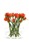 red roses in the vase on white background 이미지 (92130885) - 게티이미지뱅크 red roses in the vase on white background