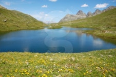 Bergsee (Scheidseen) 이미지 (94342814) - 게티이미지뱅크 Bergsee (Scheidseen)