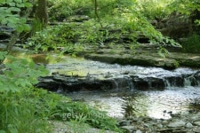Creek with small waterfall 이미지 (147679393) - 게티이미지뱅크 Creek with small waterfall