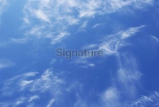 Blue Sky 이미지 (172959703) - 게티이미지뱅크 Blue Sky