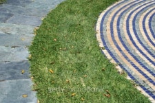 way in grass 이미지 (99773043) - 게티이미지뱅크 way in grass