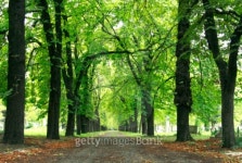 Empty park 이미지 (94722833) - 게티이미지뱅크 Empty park