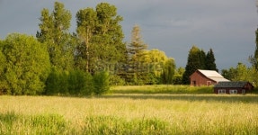 Late spring in country side 이미지 (172916870) - 게티이미지뱅크 Late spring in country side