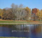park in gold fall 이미지 (99842436) - 게티이미지뱅크 park in gold fall
